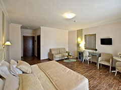  Enastron View Hotel 4*+ (, )