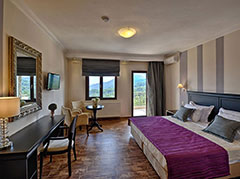  Enastron View Hotel 4*+ (, )